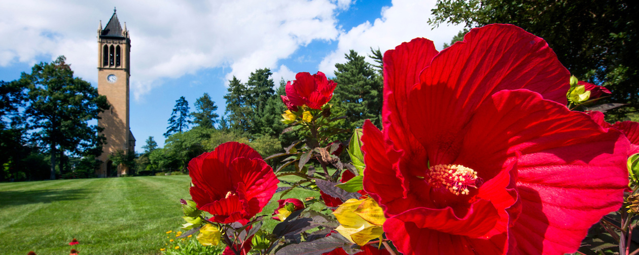 Beautiful shot of the ISU Campanile and red blooming flowers